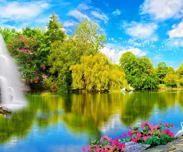 Doğa Manzara duvar kağıdı-dgmnz-229