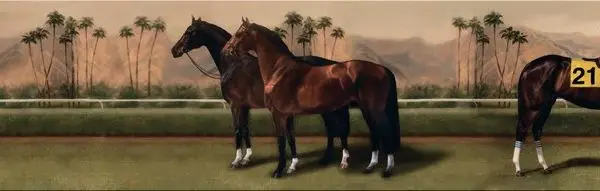 Hayvan temalı duvar kağıdı-hyvt-187