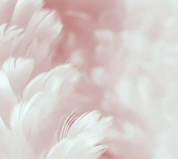 Yumuşak pudra pembesi ve beyaz tonlarında makro tüy desenli dikişsiz tekstil duvar kağıdı.