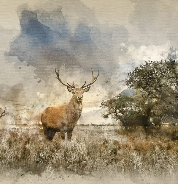 Yağlı Boya Duvar Kağıdı-yaglbya-188