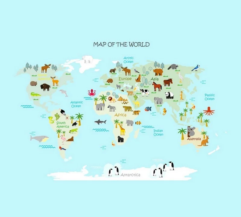 vahsi doga kasifleri hayvanli 3d cocuk duvar kagidi