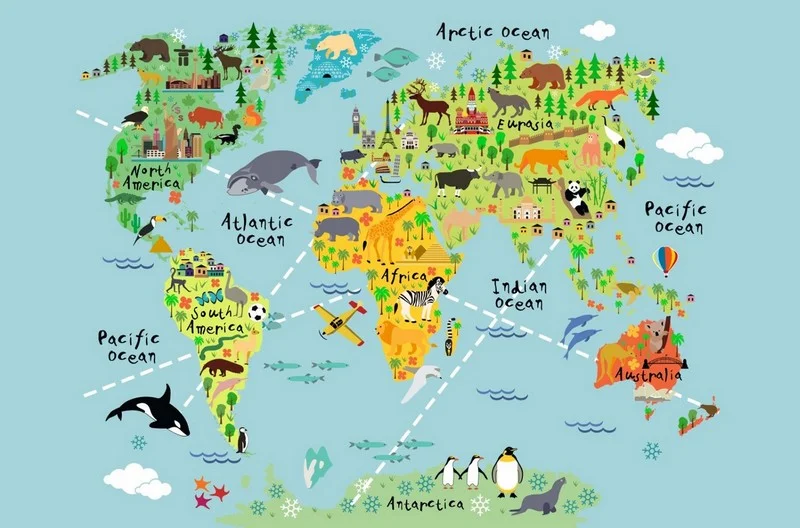 okyanus otesi dostluk atlasi hayvanli 3d cocuk duvar kagidi