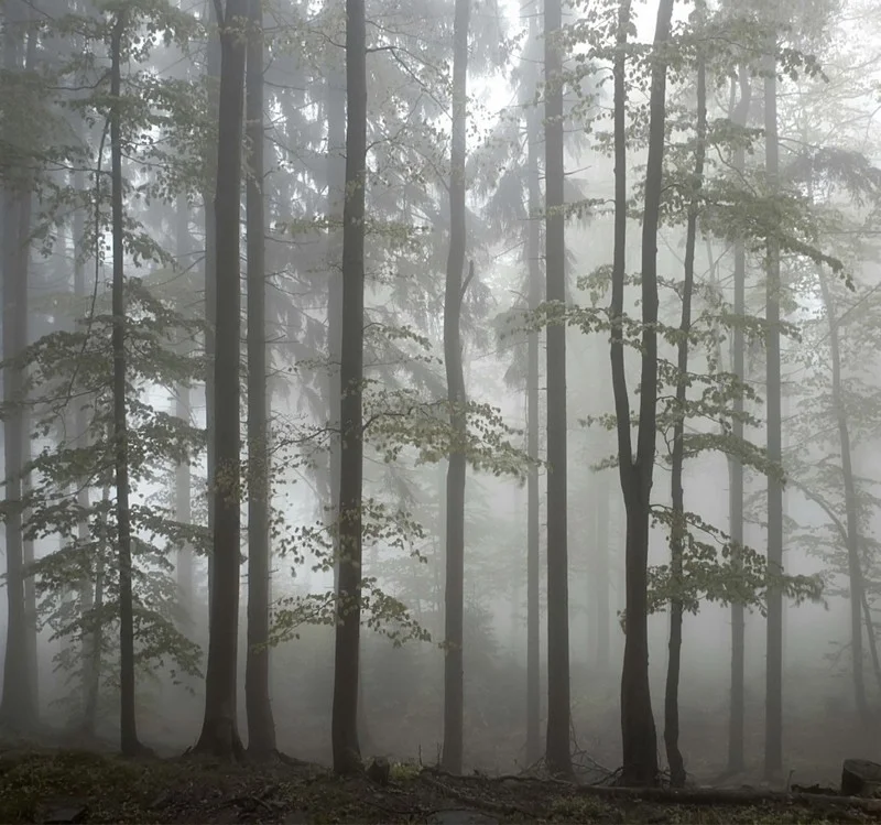 Doğa Manzara duvar kağıdı-dgmnz-256