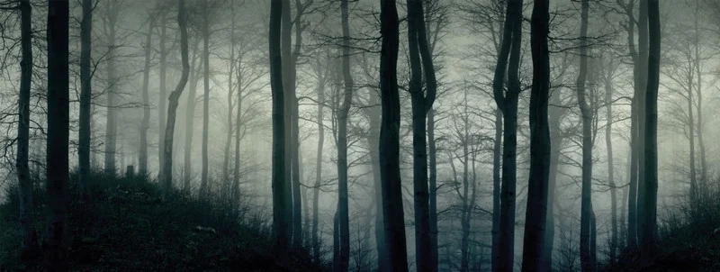 Doğa Manzara duvar kağıdı-dgmnz-258