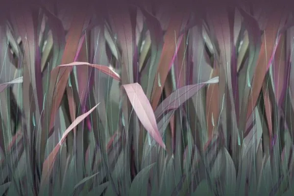 Yaprak Desenler duvar kağıdı-yprk-228