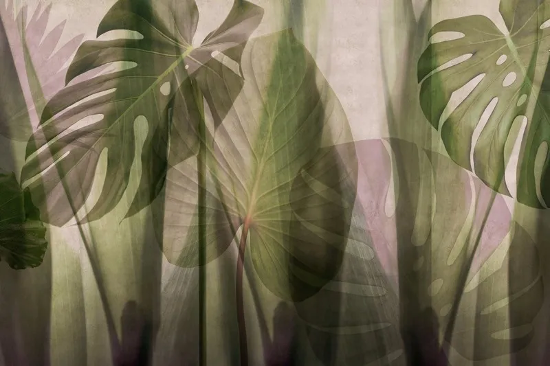 Yaprak Desenler duvar kağıdı-yprk-261