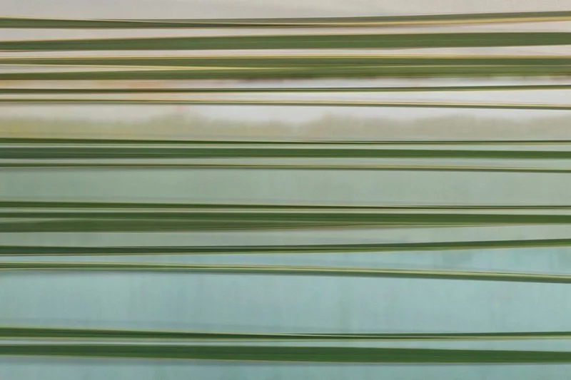 Trendyol yeşil yatay çizgili modern duvar posteri bursa ve Hepsiburada fıstık yeşili şeritli duvar kağıdı modelleri bursa