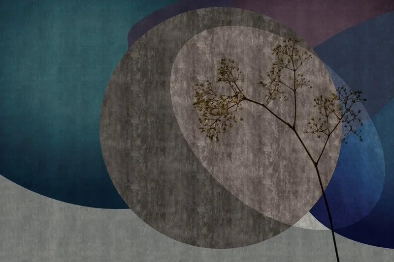 Trendyol yuvarlak içinde ağaç desenli duvar posteri bursa ve Hepsiburada antrasit lacivert geometrik dal figürlü duvar kağıdı modelleri bursa