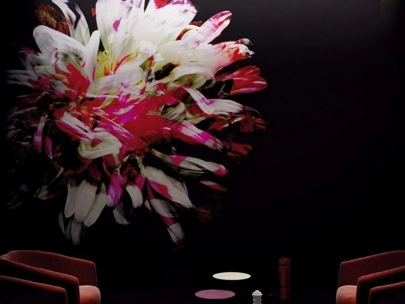 Trendyol siyah zemin üzerine fuşya ve beyaz kasımpatı çiçekli duvar posteri bursa ve Hepsiburada modern sanatsal krizantem desenli duvar kağıdı modelleri