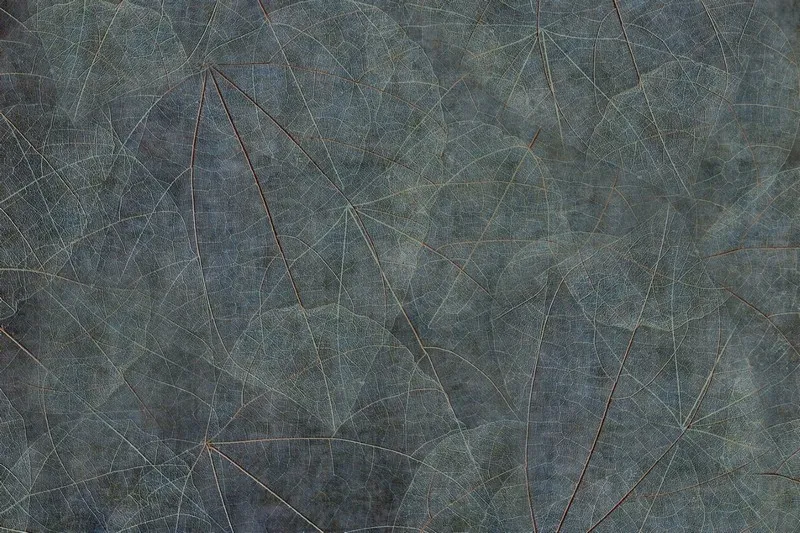 Yaprak Desenler duvar kağıdı-yprk-279