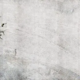 Eskitme motif temalı duvar kağıdı-eskmt-353
