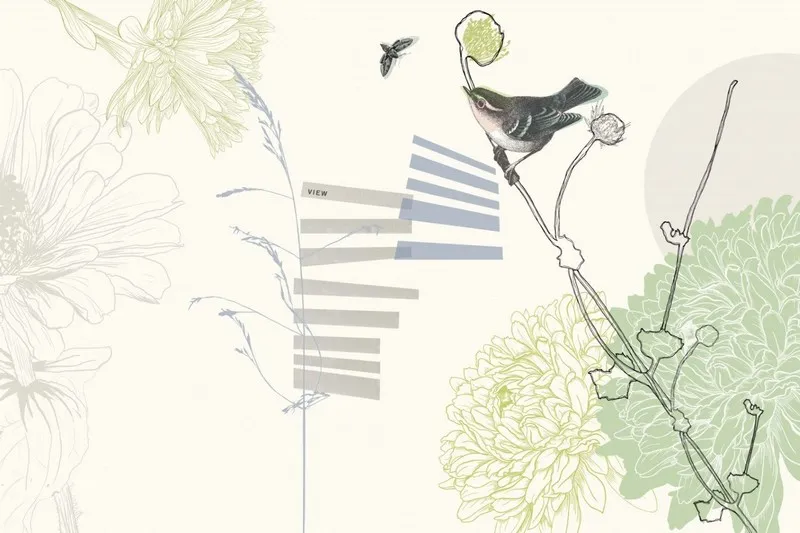 Genç odası temalı duvar kağıdı-gnct-224