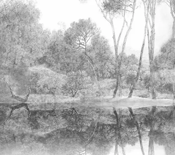 Trendyol gravür orman manzaralı duvar kağıdı ve Hepsiburada klasik siyah beyaz ağaç posteri, salon dekorasyonu için Edofleks ve Dekoros stili premium tekstil taban dijital baskı.