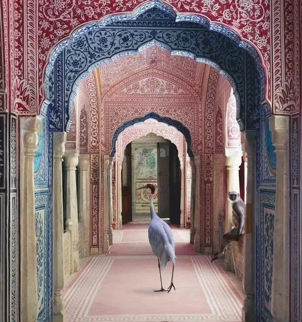 mistik hint sarayi kemerleri ve egzotik hayvanlar 3d duvar kagidi