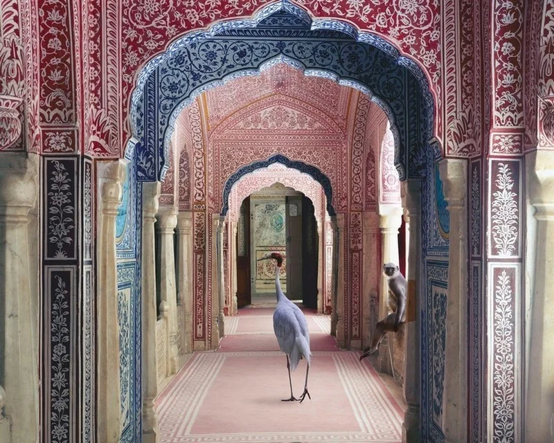 mistik hint sarayi kemerleri ve egzotik hayvanlar 3d duvar kagidi