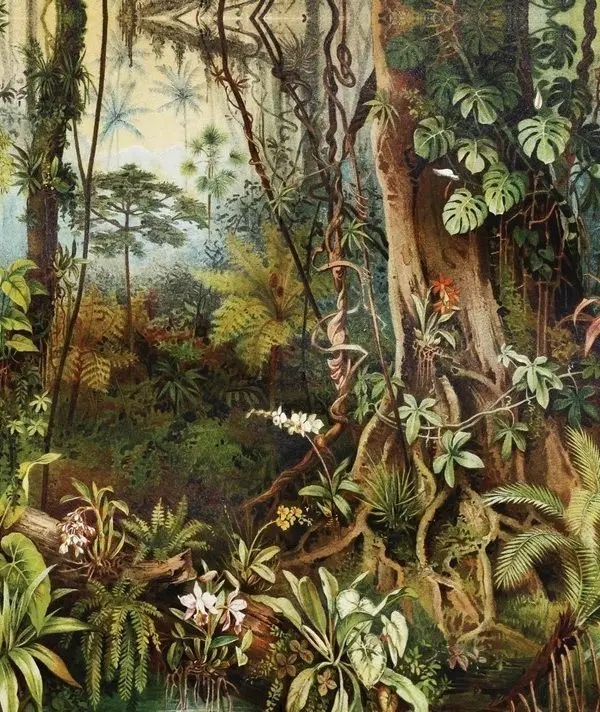 Tropikal duvar kağıdı-trpkl-236