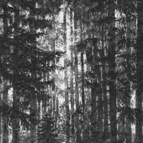 Doğa Manzara duvar kağıdı-dgmnz-191