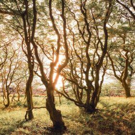 Doğa Manzara duvar kağıdı-dgmnz-193