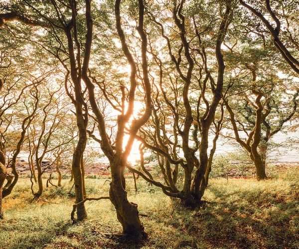 Doğa Manzara duvar kağıdı-dgmnz-193