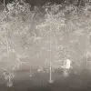 geysanin ruyasi sisli bambu ormani 3d duvar kagidi