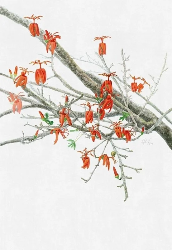 Çiçek Desenli Duvar Kağıdı-ckd-197