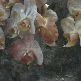 Çiçek Desenli Duvar Kağıdı-ckd-185