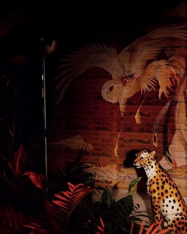 efsanevi yukselis kiremit tonlu anka kusu temali 3d duvar kagidi