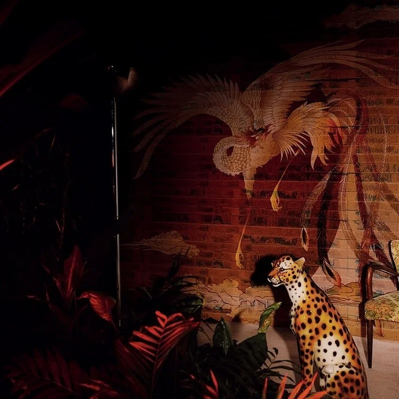 efsanevi yukselis kiremit tonlu anka kusu temali 3d duvar kagidi