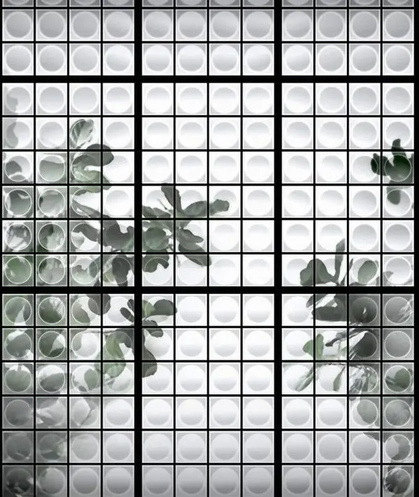grid botanik geometrik pencereli ve egzotik yaprakli 3d duvar kagidi