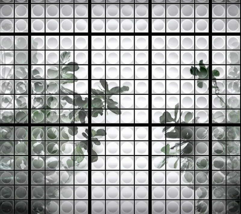grid botanik geometrik pencereli ve egzotik yaprakli 3d duvar kagidi