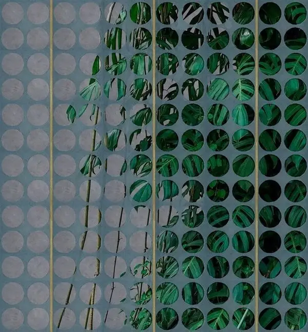 gizemli orman yuvarlak panel detayli tropikal 3d duvar kagidi