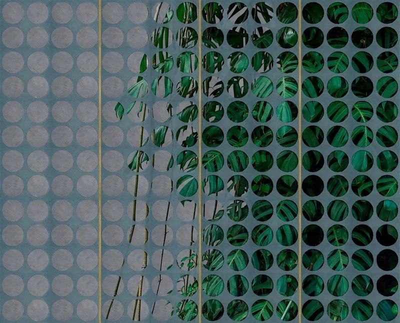 gizemli orman yuvarlak panel detayli tropikal 3d duvar kagidi