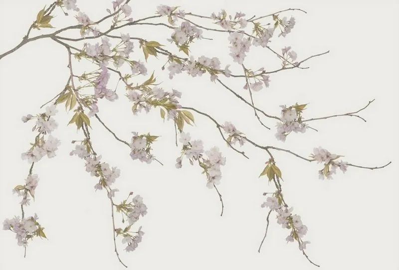 Çiçek Desenli Duvar Kağıdı-ckd-440 - Görsel 2