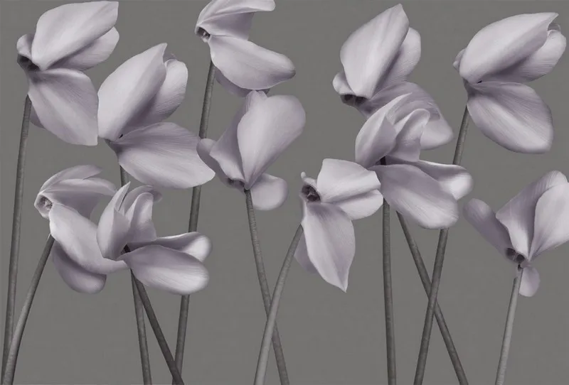 Çiçek Desenli Duvar Kağıdı-ckd-432 - Görsel 2